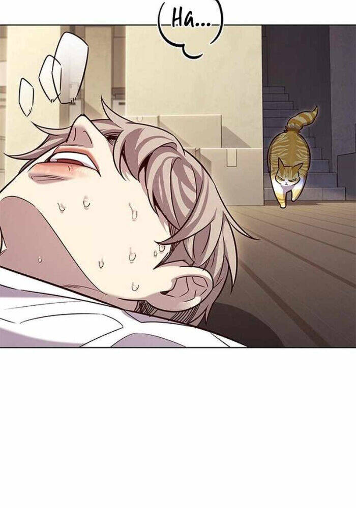 Hoá Thân Thành Mèo - Chapter 330 - Page 3