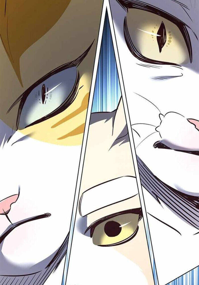 Hoá Thân Thành Mèo - Chapter 330 - Page 52