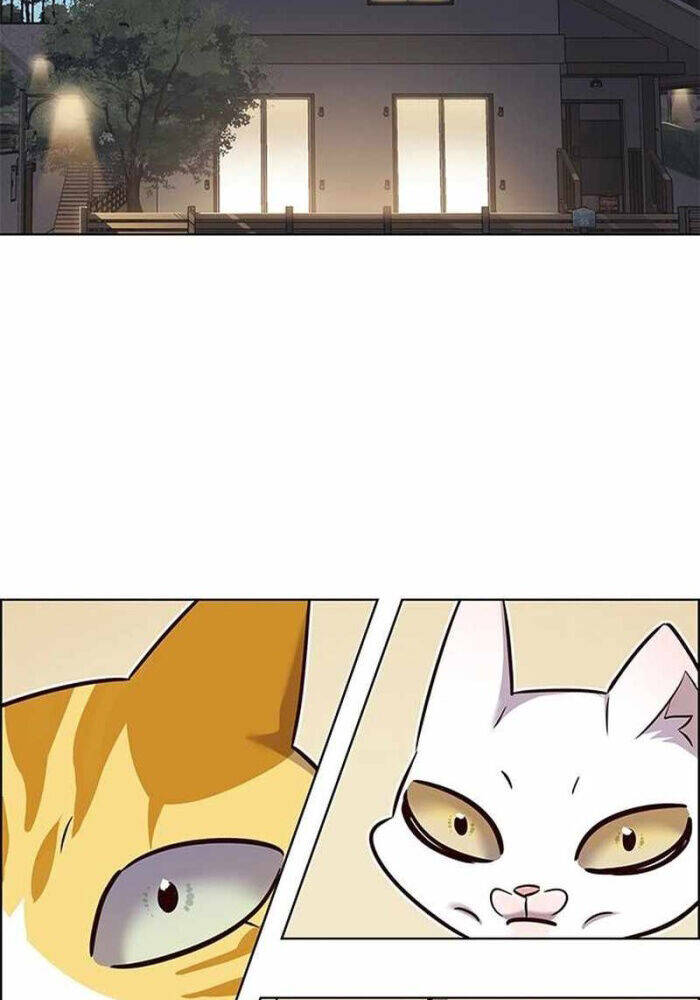 Hoá Thân Thành Mèo - Chapter 330 - Page 55