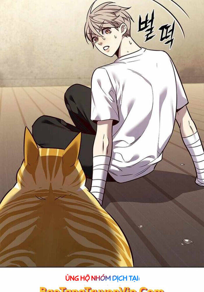 Hoá Thân Thành Mèo - Chapter 330 - Page 6