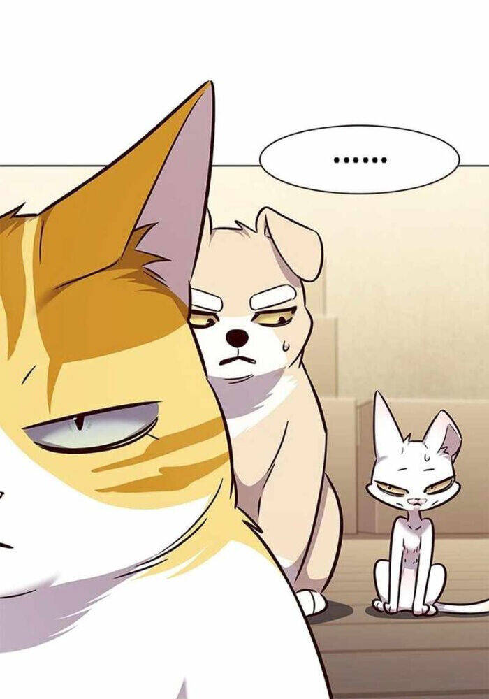 Hoá Thân Thành Mèo - Chapter 330 - Page 62