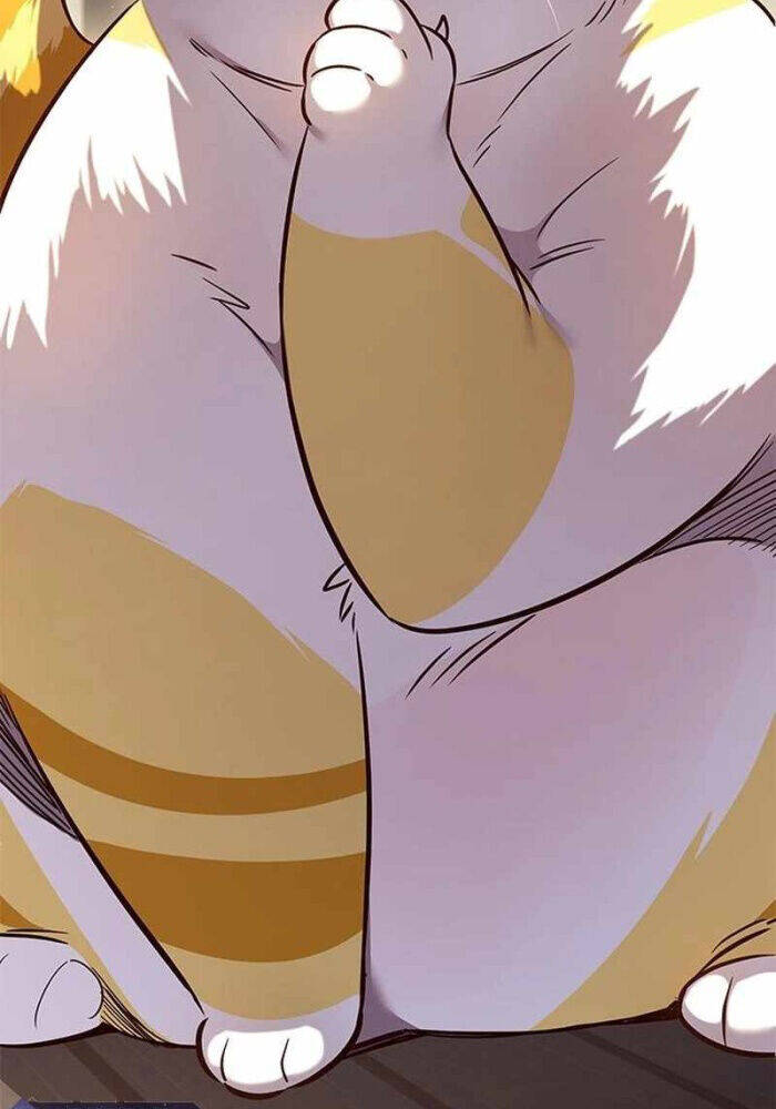 Hoá Thân Thành Mèo - Chapter 330 - Page 8