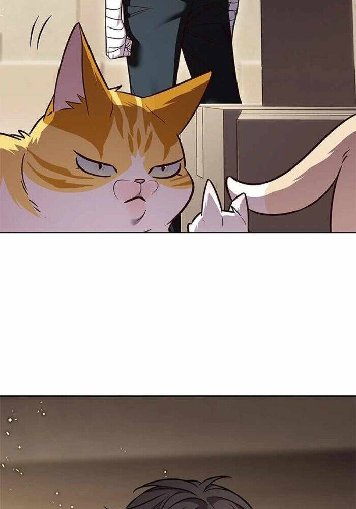 Hoá Thân Thành Mèo - Chapter 330 - Page 82