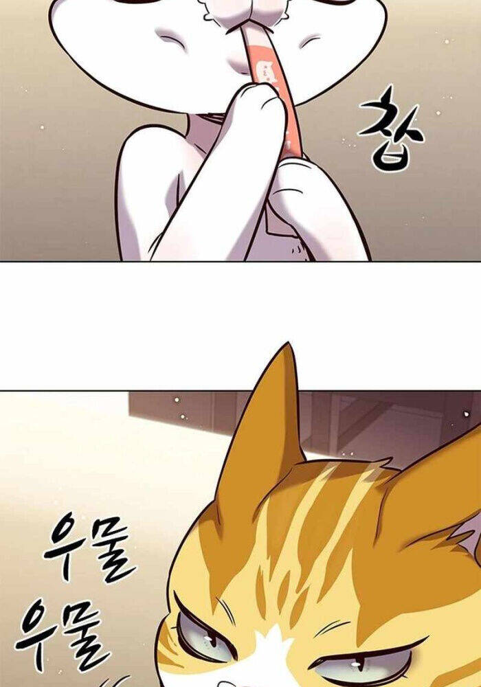 Hoá Thân Thành Mèo - Chapter 330 - Page 96