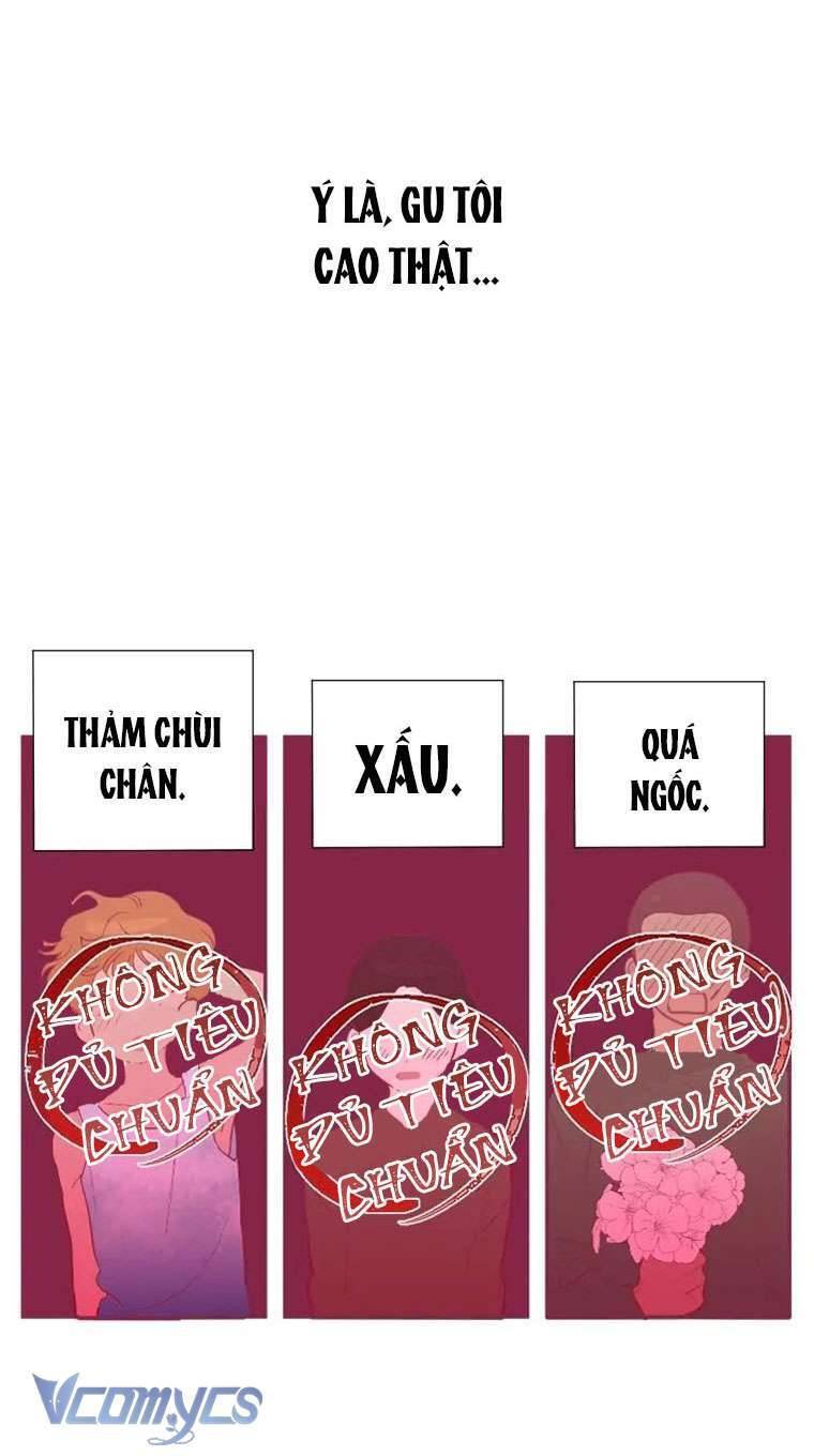 Điều Ước Sao Băng - Chapter 1 - Page 11