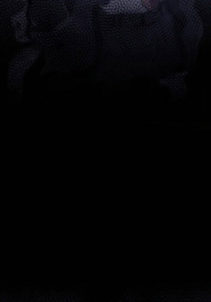 Thiên Tài Của Dòng Dõi Độc Nhất Vô Nhị - Chapter 100 - Page 64