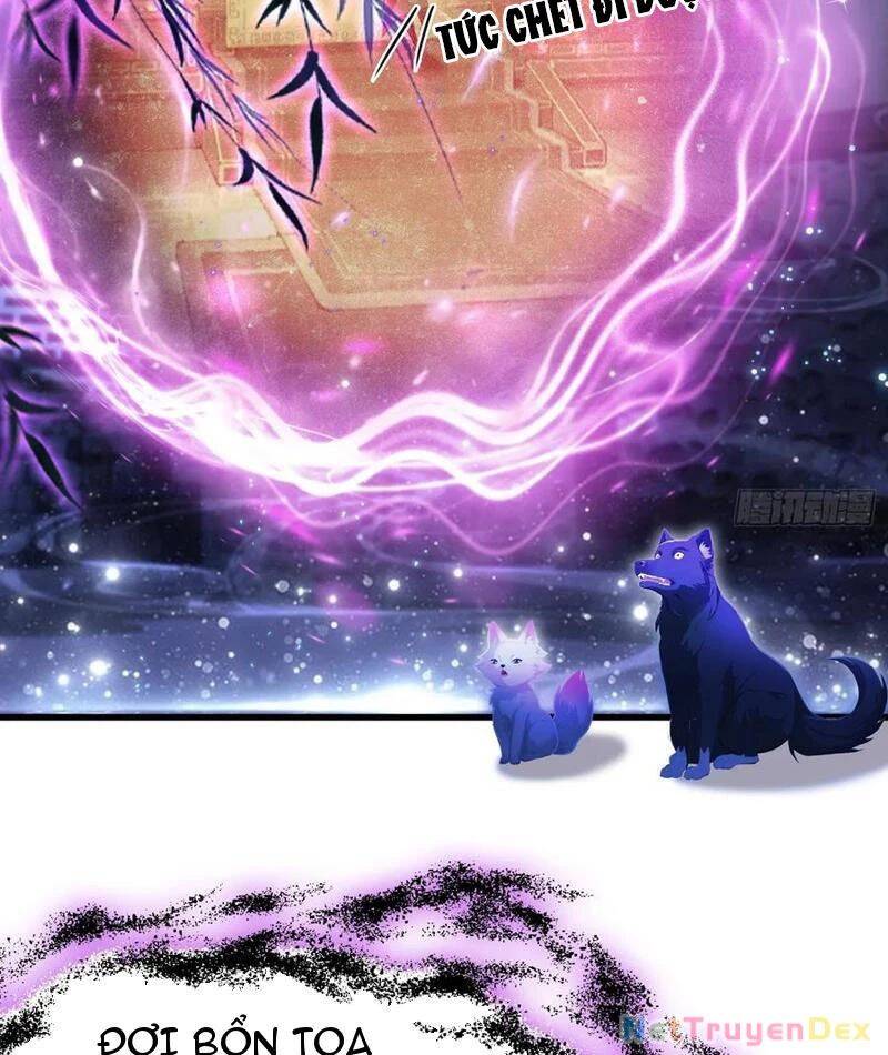 Hoá Ra Ta Đã Vô Địch Từ Lâu - Chapter 224 - Page 24