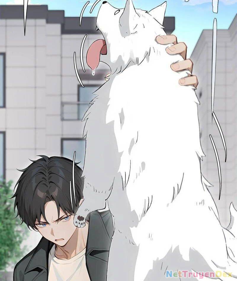 Khởi Đầu Vật Giá Sụt Giảm, Ta Trở Thành Nhà Giàu Số Một Thế Giới! - Chapter 37 - Page 74