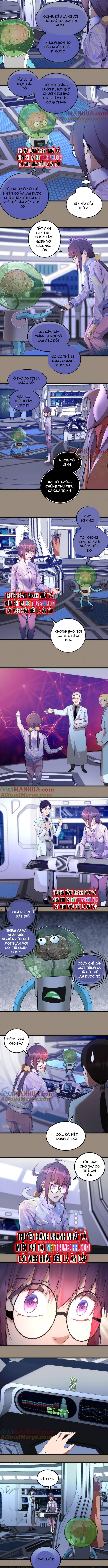 Cao Đẳng Linh Hồn Chapter 234 - Trang 3