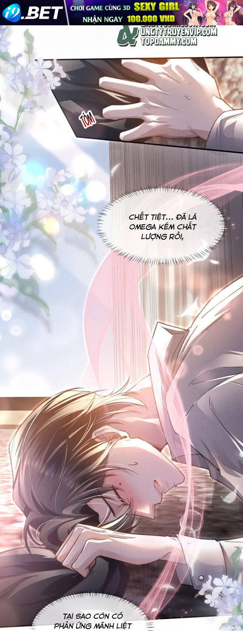 Kế Hoạch Tự Dưỡng Cuồng Khuyển - Chapter 11 - Page 30