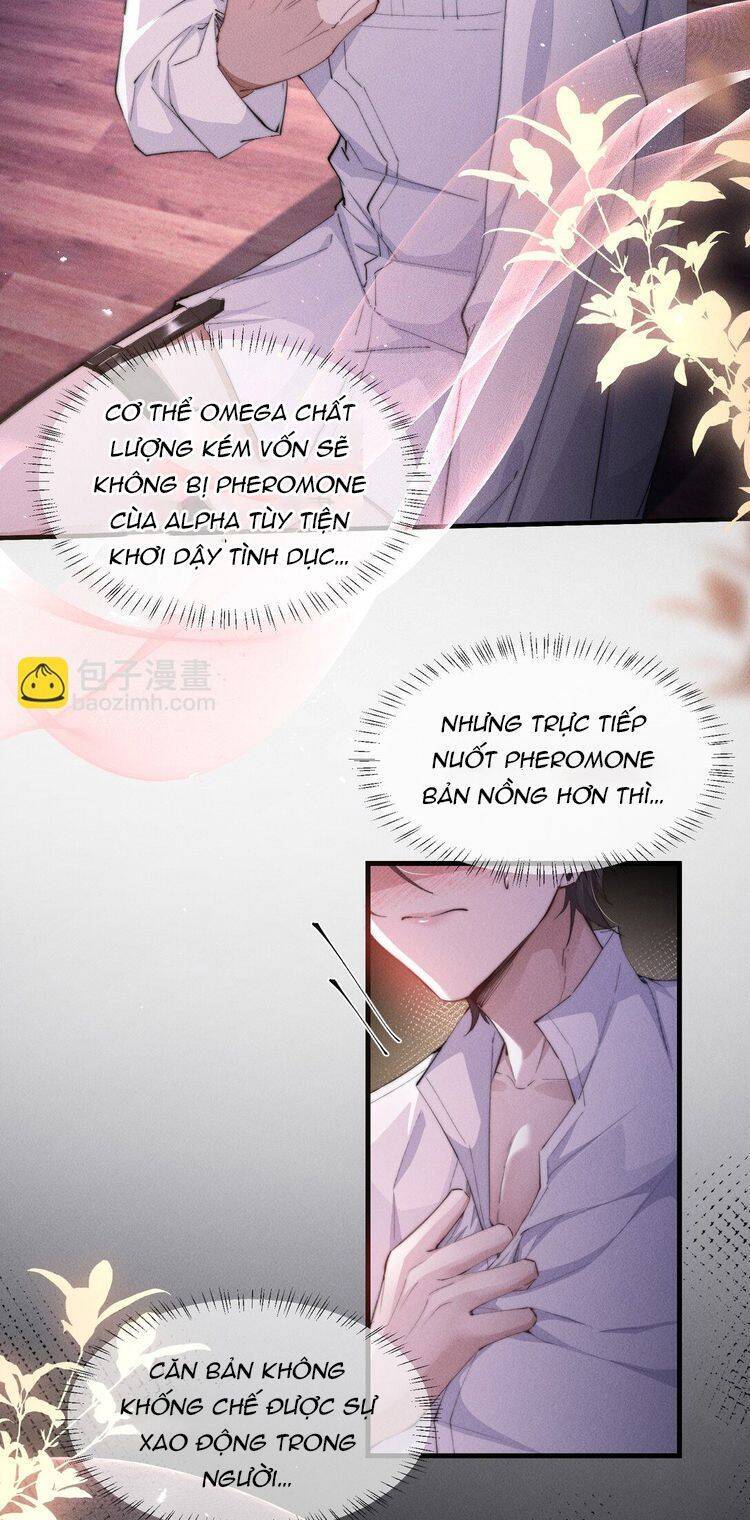 Kế Hoạch Tự Dưỡng Cuồng Khuyển - Chapter 21 - Page 4