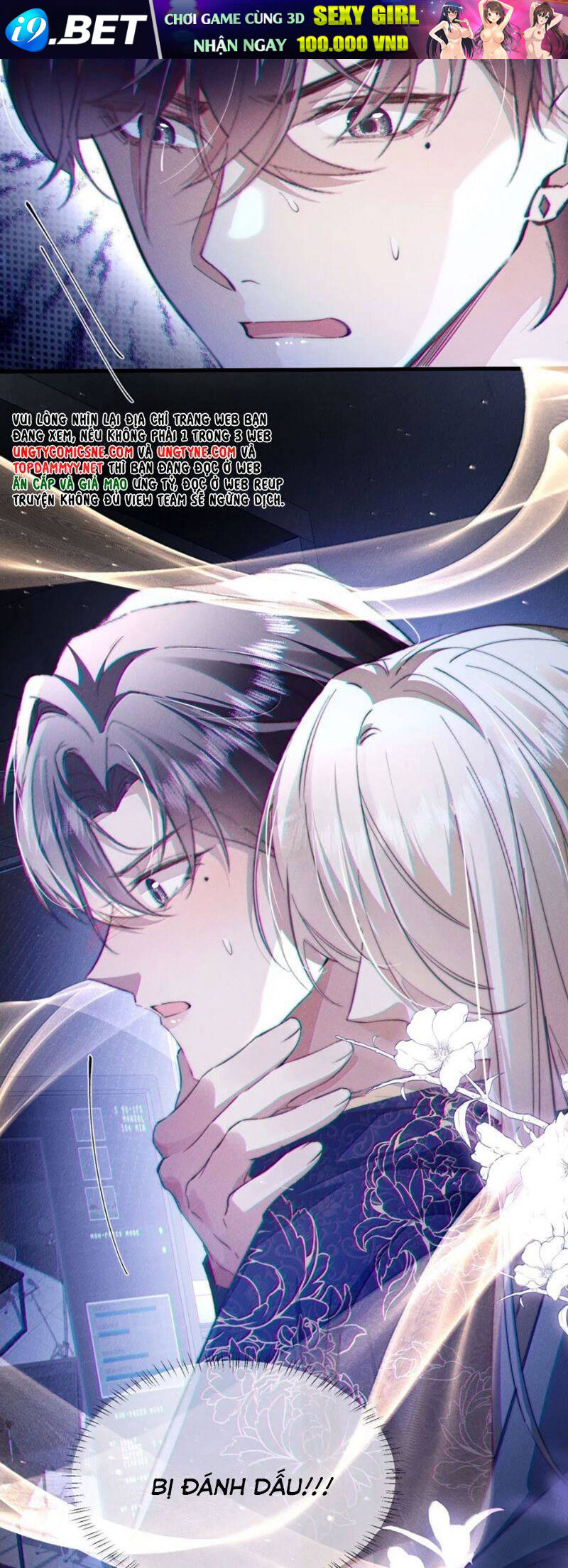 Kế Hoạch Tự Dưỡng Cuồng Khuyển - Chapter 45 - Page 12