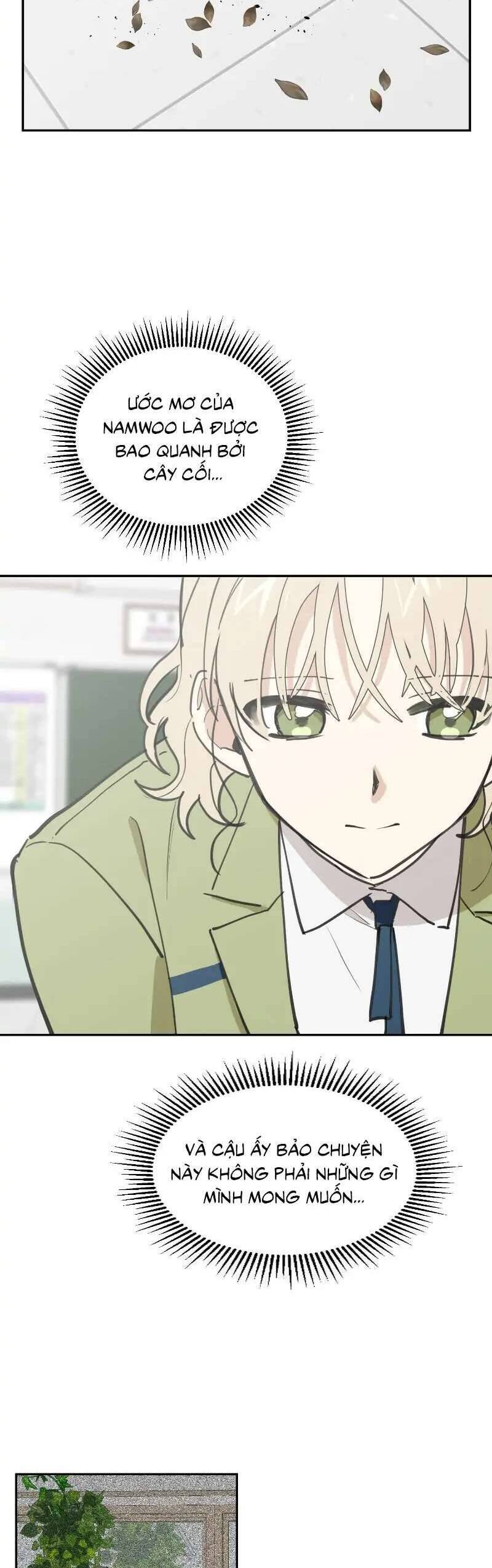 Điều Ước Sao Băng - Chapter 12 - Page 3