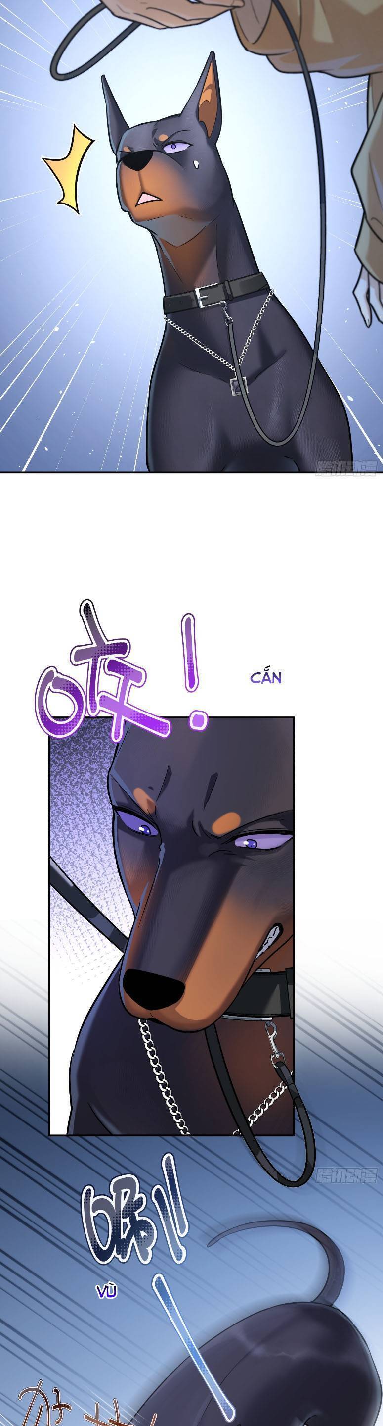 Tên Đàn Ông Này Thật Sự Là Một Tên Cẩu Mà - Chapter 12 - Page 14