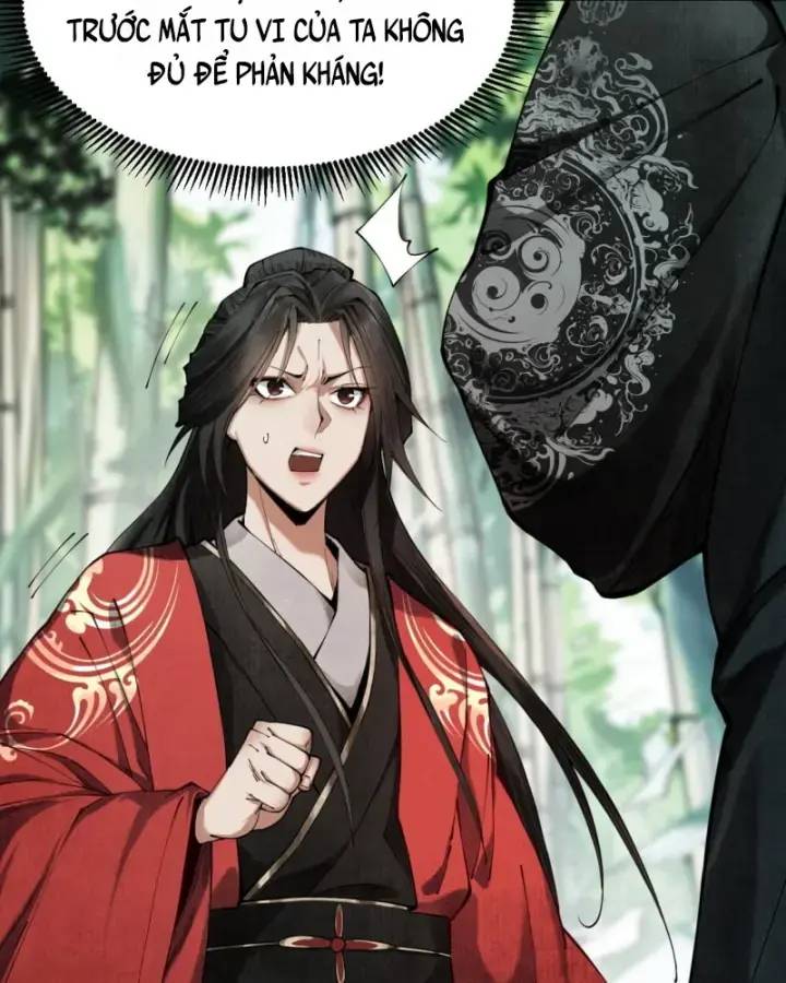 Gặp Mạnh Thì Càng Mạnh, Tu Vi Của Ta Không Giới Hạn - Chapter 5 - Page 3