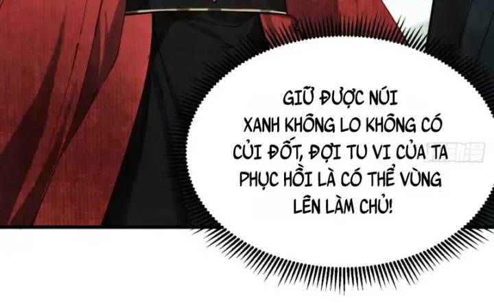 Gặp Mạnh Thì Càng Mạnh, Tu Vi Của Ta Không Giới Hạn - Chapter 5 - Page 4