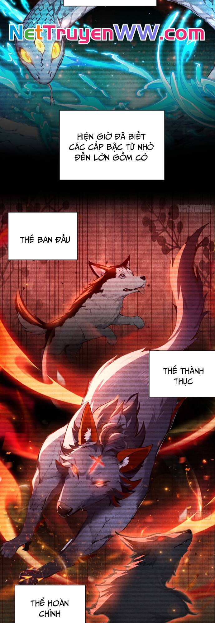 Đệ Nhất Ngự Thú Sư - Chapter 6 - Page 24