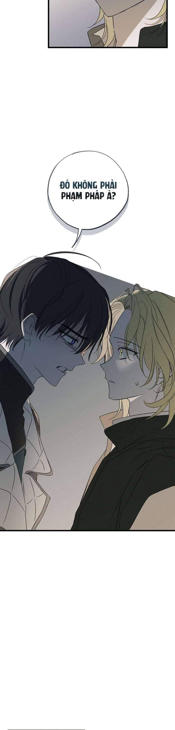 Vị Phu Quân Căm Ghét Tôi Đã Mất Trí Nhớ - Chapter 57 - Page 19