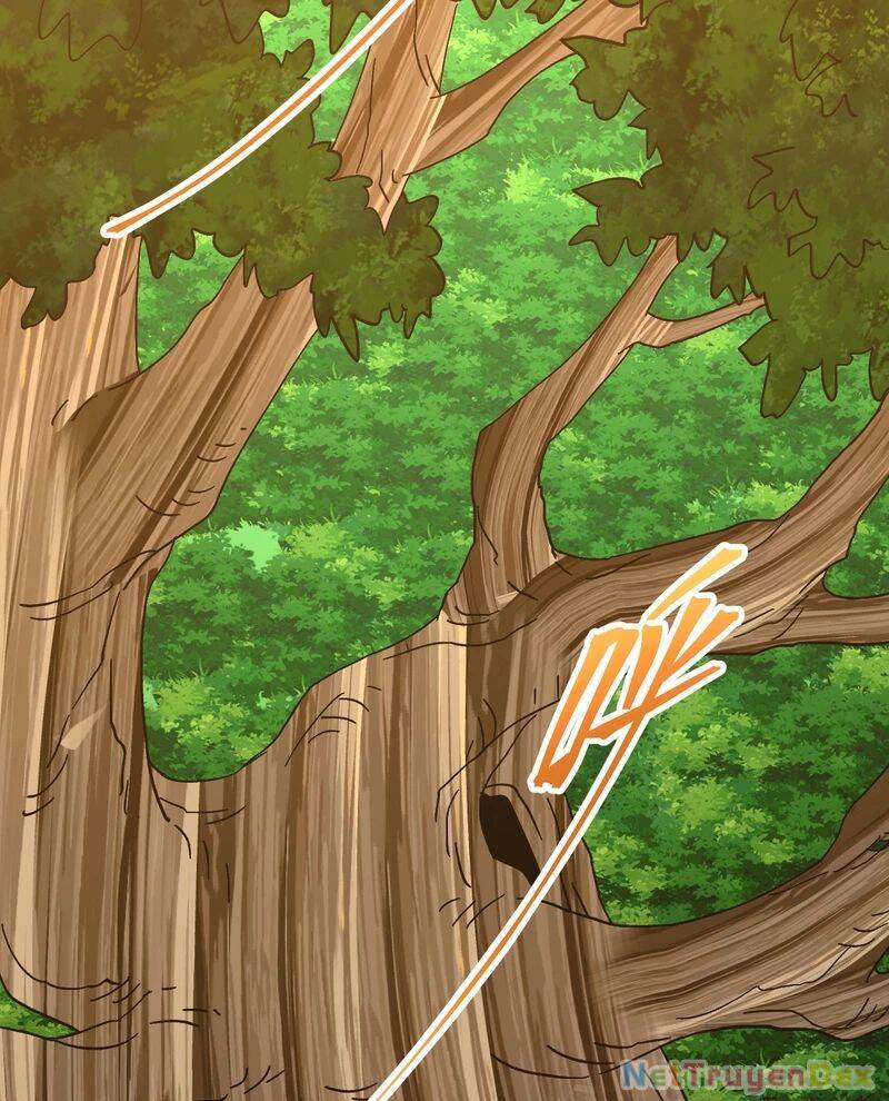 Cao Võ Hạ Cánh Đến Một Vạn Năm Sau - Chapter 184 - Page 3