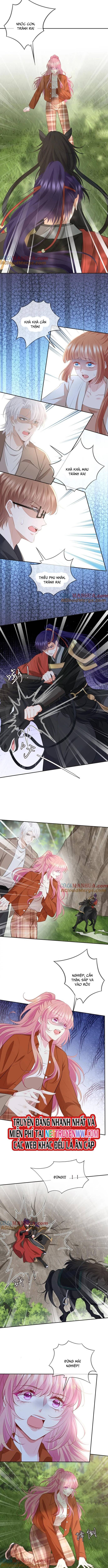 Danh Môn Chí Ái - Chapter 468 - Page 3