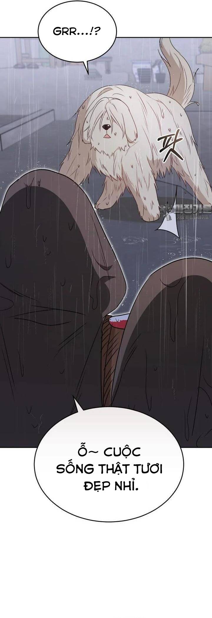 Xin Chào! Bác Sĩ Thú Y - Chapter 57 - Page 34