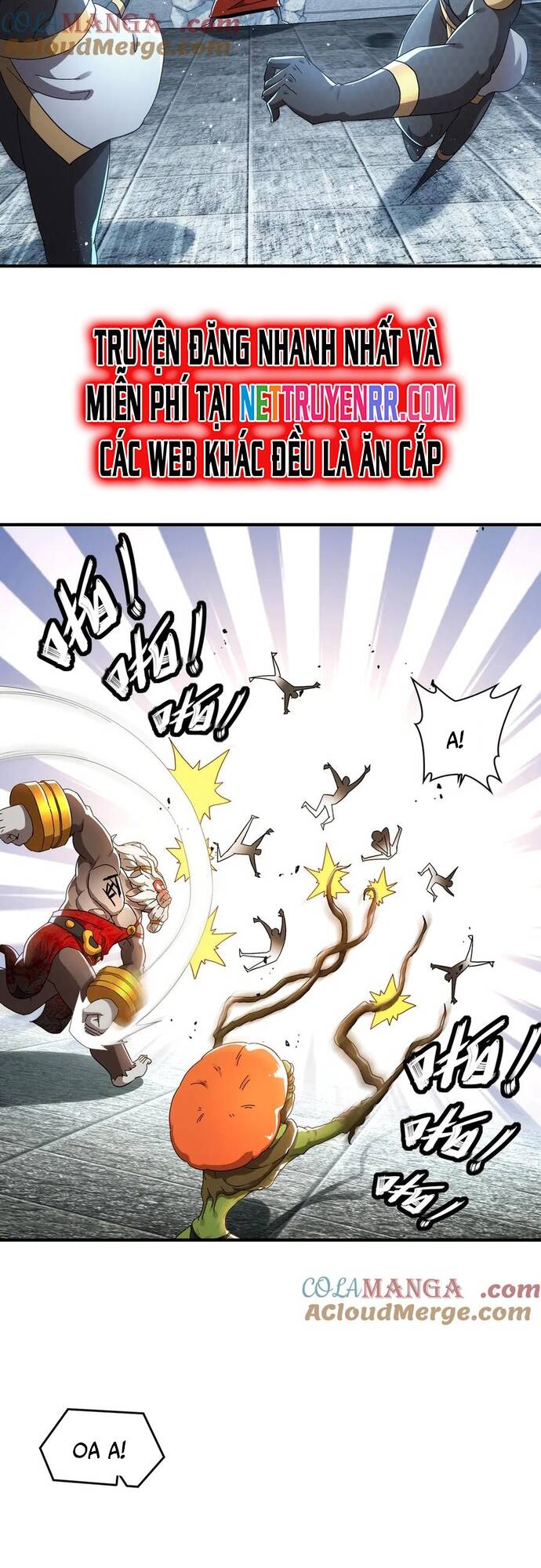 Tuyệt Sắc Đạo Lữ Đều Nói Ngô Hoàng Thể Chất Vô Địch Chapter 326 - Trang 3