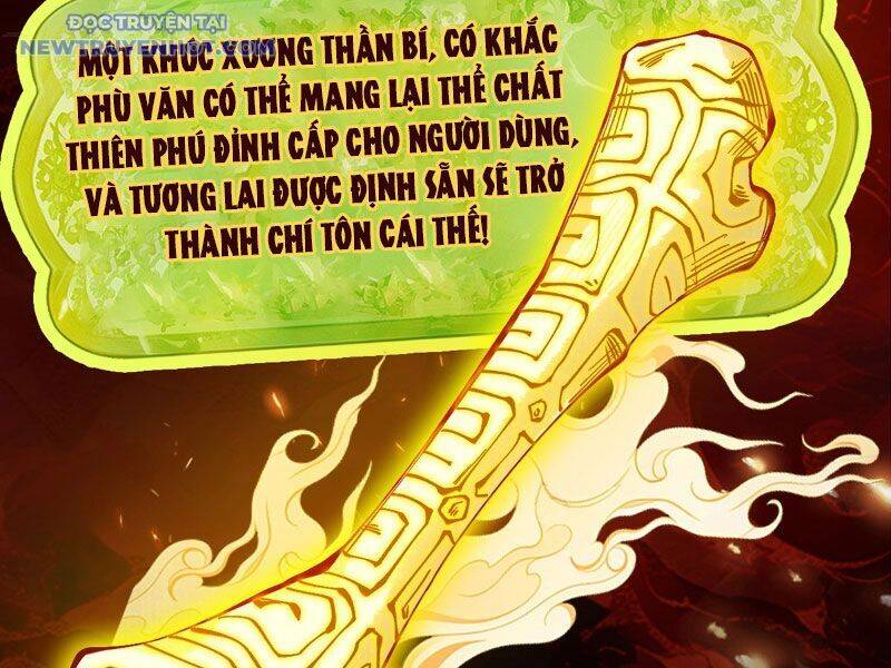 Gặp Mạnh Thì Càng Mạnh, Tu Vi Của Ta Không Giới Hạn - Chapter 10 - Page 213