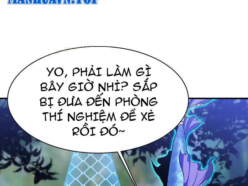 Linh Khí Khôi Phục: Từ Cá Chép Tiến Hoá Thành Thần Long - Chapter 22 - Page 103