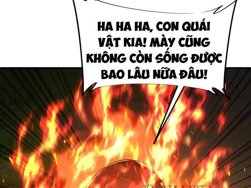 Linh Khí Khôi Phục: Từ Cá Chép Tiến Hoá Thành Thần Long - Chapter 22 - Page 12