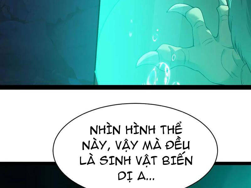 Linh Khí Khôi Phục: Từ Cá Chép Tiến Hoá Thành Thần Long - Chapter 31 - Page 74