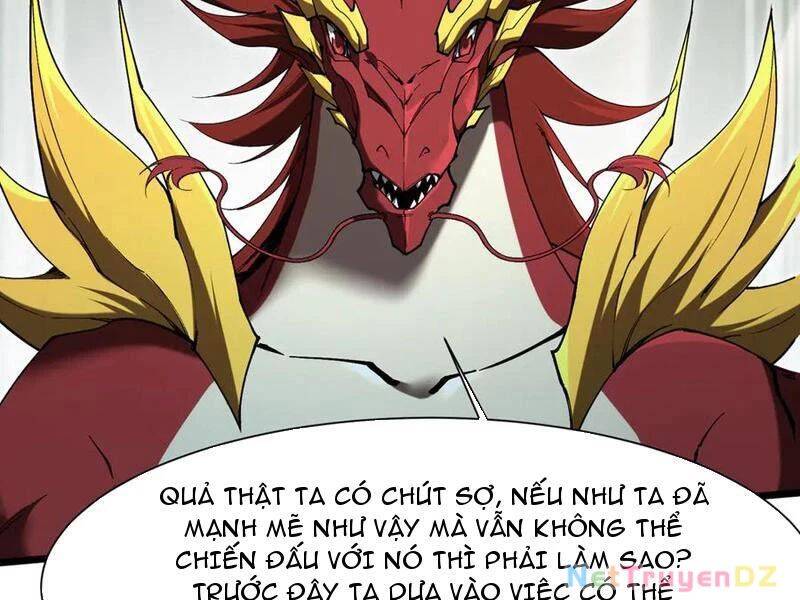 Linh Khí Khôi Phục: Từ Cá Chép Tiến Hoá Thành Thần Long - Chapter 36 - Page 39