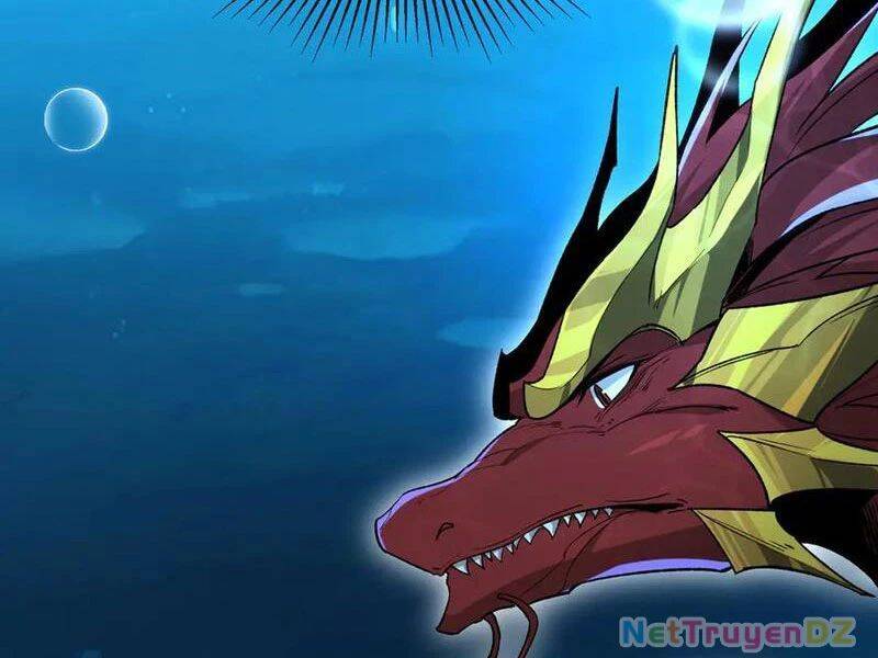 Linh Khí Khôi Phục: Từ Cá Chép Tiến Hoá Thành Thần Long - Chapter 36 - Page 4