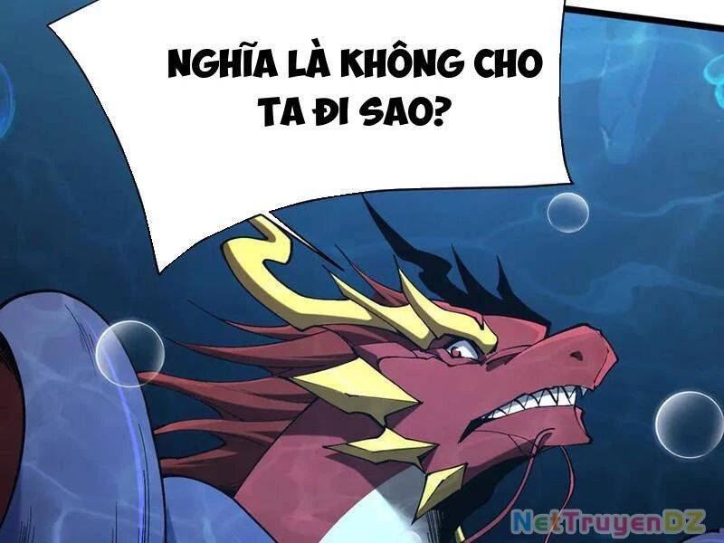 Linh Khí Khôi Phục: Từ Cá Chép Tiến Hoá Thành Thần Long - Chapter 36 - Page 47