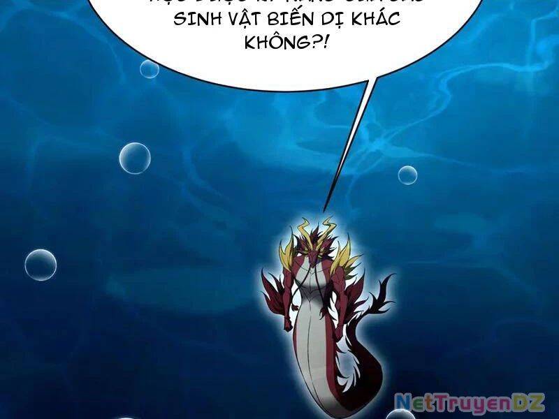 Linh Khí Khôi Phục: Từ Cá Chép Tiến Hoá Thành Thần Long - Chapter 37 - Page 146