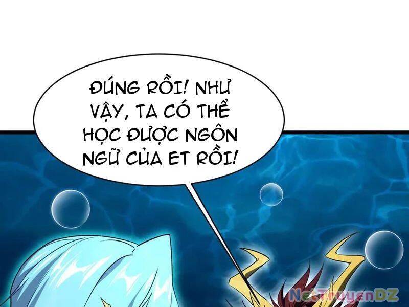 Linh Khí Khôi Phục: Từ Cá Chép Tiến Hoá Thành Thần Long - Chapter 37 - Page 148