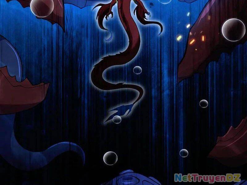 Linh Khí Khôi Phục: Từ Cá Chép Tiến Hoá Thành Thần Long - Chapter 37 - Page 26