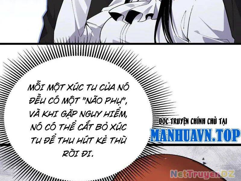Linh Khí Khôi Phục: Từ Cá Chép Tiến Hoá Thành Thần Long - Chapter 37 - Page 7