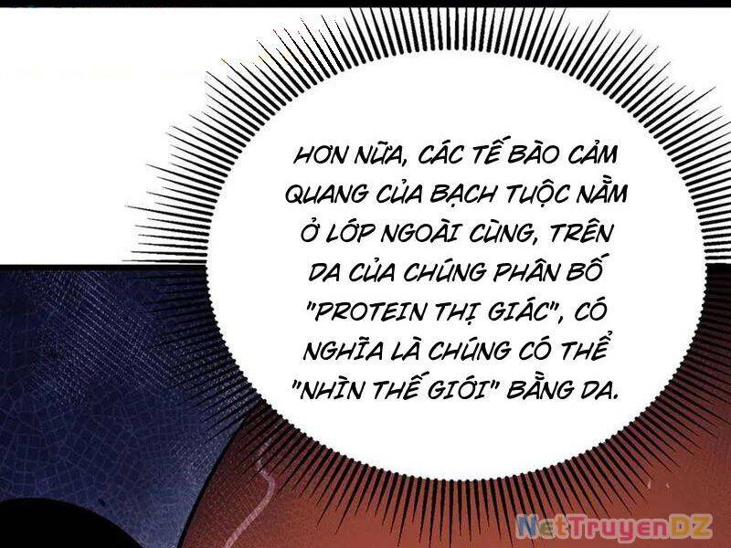 Linh Khí Khôi Phục: Từ Cá Chép Tiến Hoá Thành Thần Long - Chapter 37 - Page 9