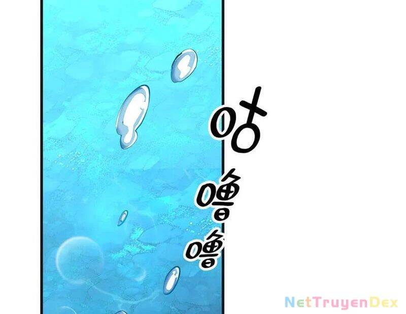 Linh Khí Khôi Phục: Từ Cá Chép Tiến Hoá Thành Thần Long - Chapter 39 - Page 135