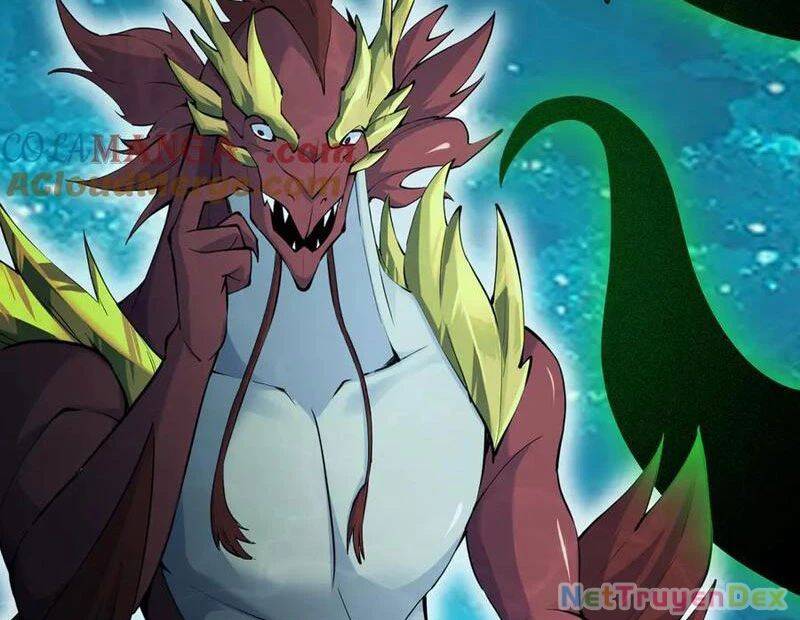 Linh Khí Khôi Phục: Từ Cá Chép Tiến Hoá Thành Thần Long - Chapter 39 - Page 150