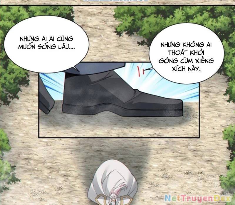 Đồ Đệ Của Ta Đều Là Đại Phản Phái Chapter 327 - Trang 14