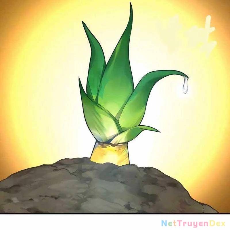 Làm Nông Dân Trong Tòa Tháp Thử Thách - Chapter 91 - Page 209