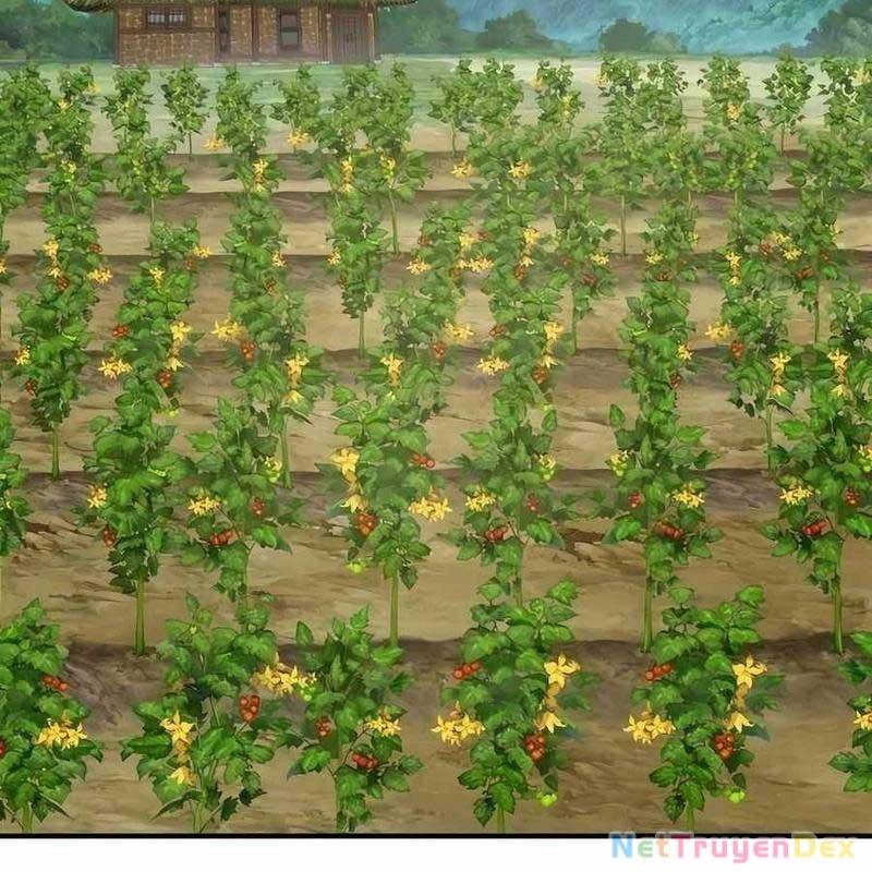 Làm Nông Dân Trong Tòa Tháp Thử Thách - Chapter 92 - Page 254