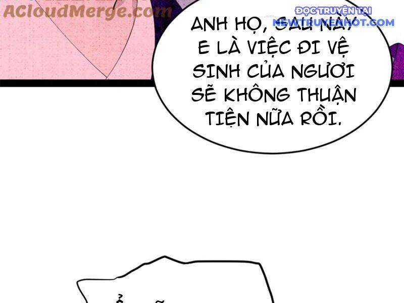 Chàng Rể Mạnh Nhất Lịch Sử - Chapter 260 - Page 114