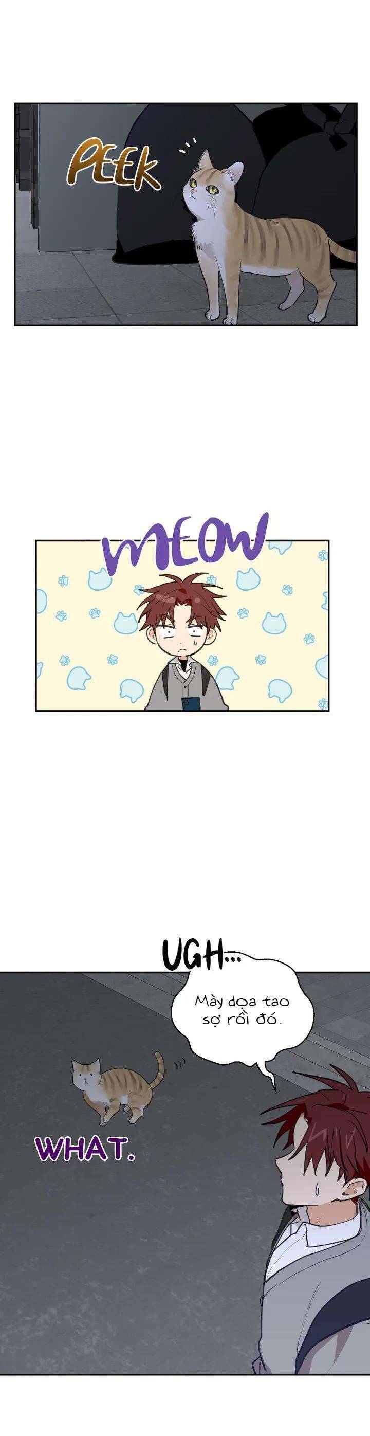 Điều Ước Sao Băng - Chapter 18 - Page 4