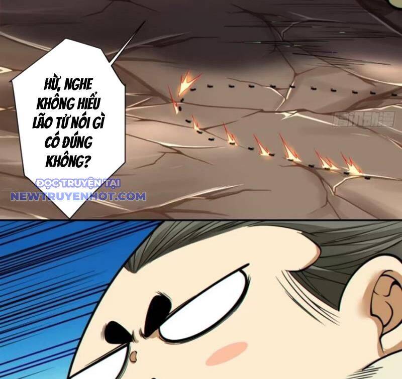 Đồ Đệ Của Ta Đều Là Đại Phản Phái Chapter 329 - Trang 13