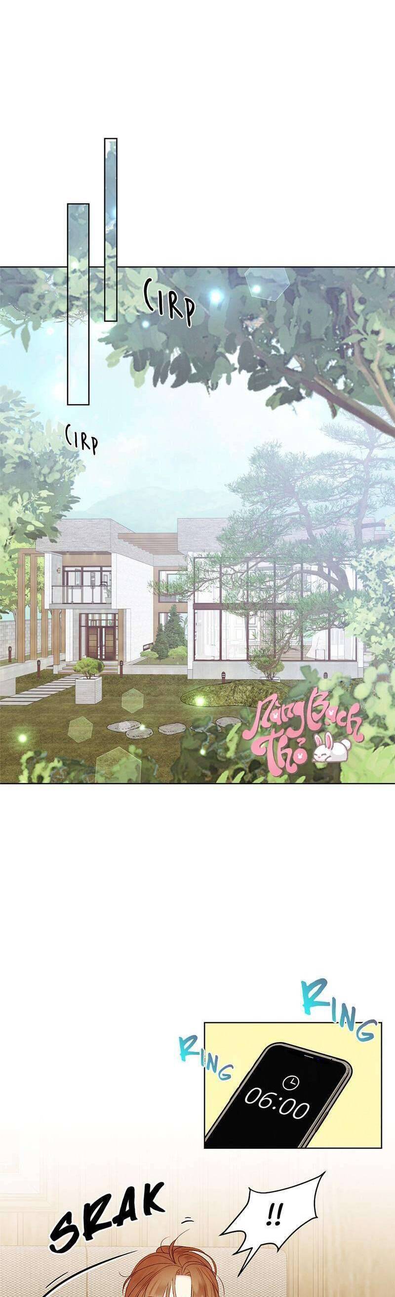 Hôn Nhân Bí Mật Giữa Chúng Ta - Chapter 8 - Page 29