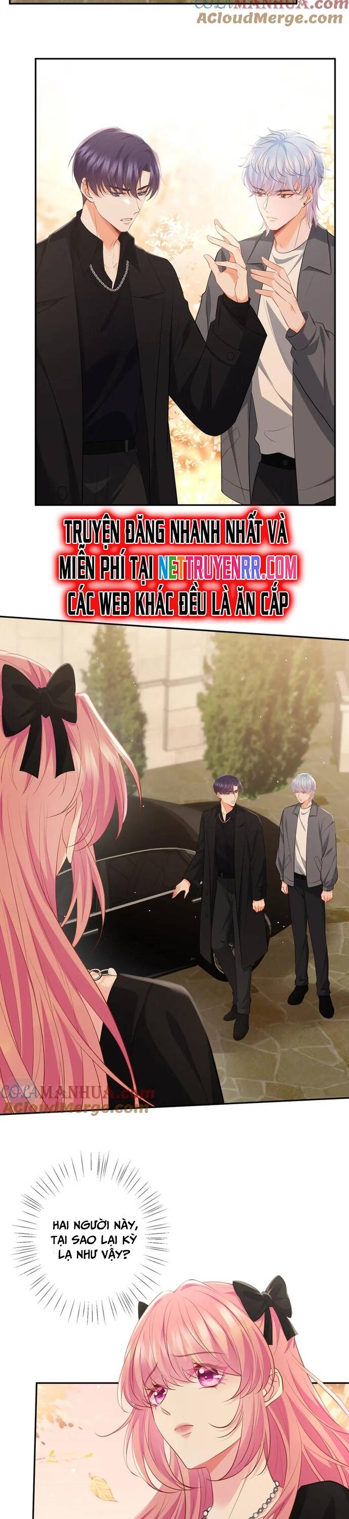 Danh Môn Chí Ái - Chapter 478 - Page 13