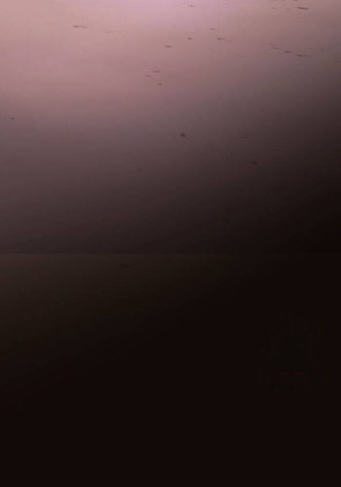 Ta Nhận Được Vật Phẩm Thần Thoại - Chapter 114 - Page 194