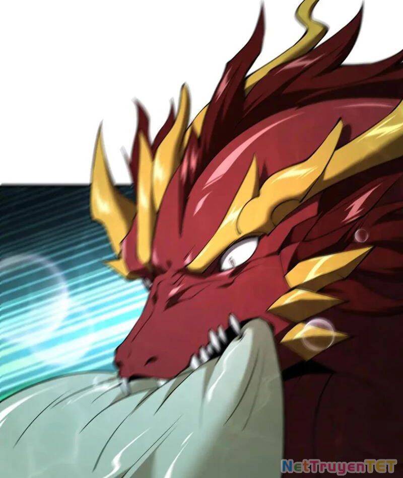 Linh Khí Khôi Phục: Từ Cá Chép Tiến Hoá Thành Thần Long - Chapter 40 - Page 12